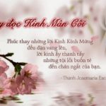 Các bài suy niệm Lễ Đức Mẹ Mân Côi