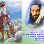 Chúa nhật XXIV thường niên, năm C: Các bài suy niệm & chú giải Lời Chúa