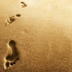 Người trẻ và việc phân định: Ơn gọi độc thân thánh hiến hay ơn gọi hôn nhân