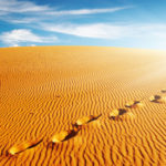 Không đủ những điều này, không thể là người tông đồ của Chúa