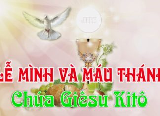 Lễ Mình và Máu Thánh Chúa Kitô, năm A: Các bài suy niệm & chú giải Lời Chúa
