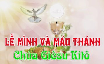 Lễ Mình và Máu Thánh Chúa Kitô, năm A: Các bài suy niệm & chú giải Lời Chúa
