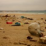 Sứ điệp của Đức Thánh Cha nhân Ngày Môi trường Thế giới 2020