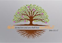 Suy niệm và cầu nguyện: Tuần lễ cầu nguyện cho các Kitô hữu hợp nhất (18-25/1/2021)