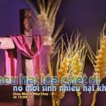 Chúa nhật V mùa Chay, năm B: Các bài suy niệm & chú giải Lời Chúa