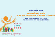 Trực tuyến: Thánh lễ khai mạc Thượng Hội Đồng Giám Mục cấp Giáo phận