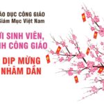 Thư gửi sinh viên, học sinh Công giáo nhân dịp mừng xuân Nhâm Dần