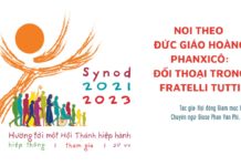 Noi theo Đức Giáo hoàng Phanxicô: Đối thoại trong Fratelli Tutti