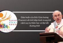 Giáo huấn của Đức Phanxicô về tính hiệp hành trong bối cảnh suy tư thần học và đại kết đương thời