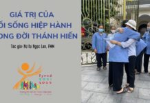 Giá trị của lối sống hiệp hành trong đời thánh hiến