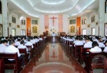 Những nẻo đường mở ra cho Giáo Hội tại Việt Nam từ hoa trái và kinh nghiệm thỉnh ý Hiệp Hành