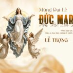 Các bài suy niệm Lễ Đức Maria Hồn Xác Lên Trời