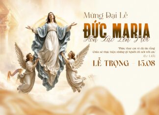 Các bài suy niệm Lễ Đức Maria Hồn Xác Lên Trời