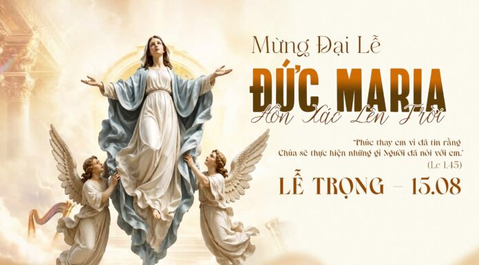 Các bài suy niệm Lễ Đức Maria Hồn Xác Lên Trời