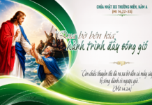 Chúa nhật XIX thường niên, năm A: Các bài suy niệm & chú giải Lời Chúa