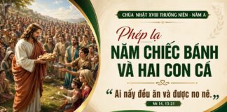Chúa nhật XVIII thường niên, năm A: Các bài suy niệm & chú giải Lời Chúa