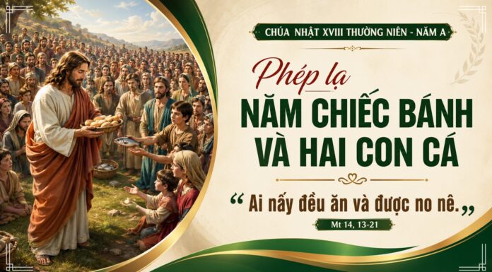 Chúa nhật XVIII thường niên, năm A: Các bài suy niệm & chú giải Lời Chúa