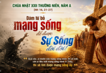 Chúa nhật XXII thường niên, năm A: Các bài suy niệm & chú giải Lời Chúa