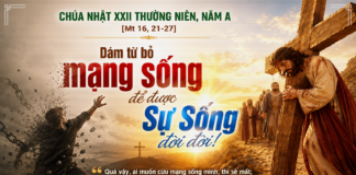 Chúa nhật XXII thường niên, năm A: Các bài suy niệm & chú giải Lời Chúa