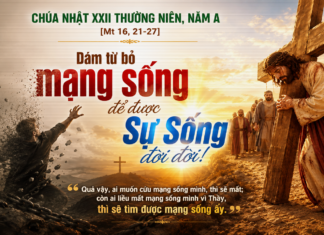 Chúa nhật XXII thường niên, năm A: Các bài suy niệm & chú giải Lời Chúa