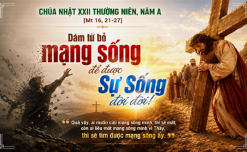 Chúa nhật XXII thường niên, năm A: Các bài suy niệm & chú giải Lời Chúa
