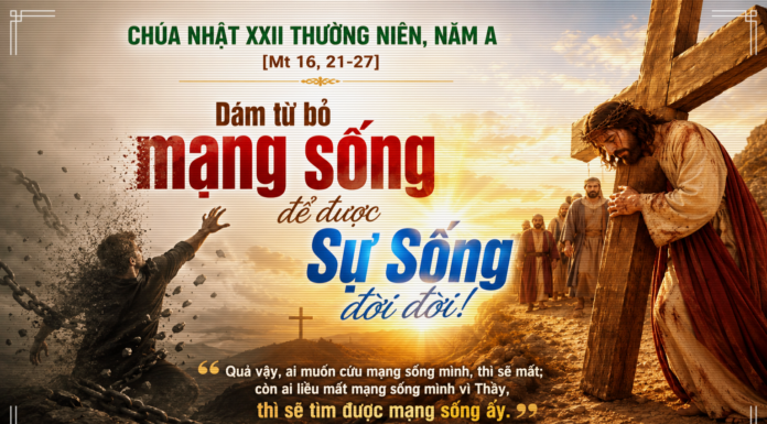 Chúa nhật XXII thường niên, năm A: Các bài suy niệm & chú giải Lời Chúa