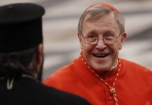 Hồng y Walter Kasper cảnh báo các giám mục Đức: “Chúng ta đã công khai hứa trung thành với Giáo hoàng”