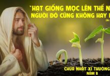 Lời nguyện tín hữu | Chúa nhật 11 thường niên năm B