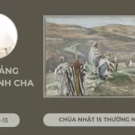 Bài giảng Đức Thánh cha | Chúa nhật XV thường niên năm B