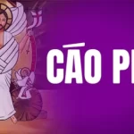 Cáo phó: Nữ tu Maria Nguyễn Thị Quế, MTG Vinh