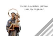 Thư mời tham dự Đại Lễ Hành Hương Kính Thánh Antôn Trại Gáo – 2025