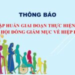 Ban Hiệp Hành GP. Vinh: Thông báo về tập huấn giai đoạn thực hiện Thượng Hội đồng Giám mục về hiệp hành