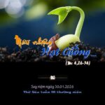 Mầu nhiệm hạt giống…