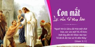 Con mắt là cửa sổ tâm hồn! (Suy niệm Chúa Nhật IV Mùa Chay – A)