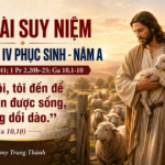 Các bài suy niệm Chúa Nhật IV Phục Sinh, năm A – Lm. Anthony Trung Thành