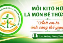 Mỗi Ki tô hữu là một môn đệ thừa sai – “Anh em là ánh sáng thế gian” (Mt 5, 14)