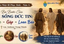 Chúa Nhật III Phục Sinh – Năm A: Ba Bước Của Đời Sống Đức Tin: Nghe – Gặp – Loan Báo