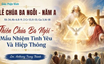 Lễ Chúa Ba Ngôi – Năm A: Thiên Chúa Ba Ngôi – Mầu Nhiệm Tình Yêu Và Hiệp Thông