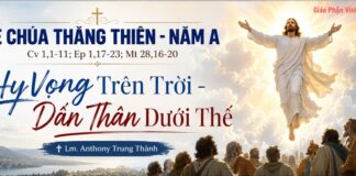 Lễ Chúa Thăng Thiên – Năm A: Hy vọng trên trời – Dấn thân dưới thế