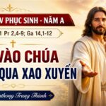 Chúa Nhật V Phục Sinh – Năm A: Tin vào Chúa để vượt qua xao xuyến