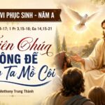 Chúa Nhật VI Phục Sinh – Năm A: Thiên Chúa không để chúng ta mồ côi
