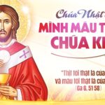 Lễ Mình và Máu Thánh Chúa Kitô, năm A: Các bài suy niệm & chú giải Lời Chúa