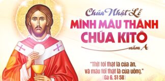 Lễ Mình và Máu Thánh Chúa Kitô, năm A: Các bài suy niệm & chú giải Lời Chúa
