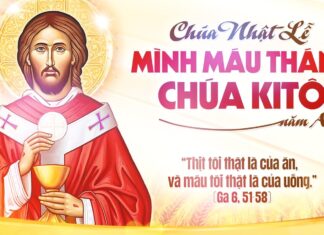 Lễ Mình và Máu Thánh Chúa Kitô, năm A: Các bài suy niệm & chú giải Lời Chúa