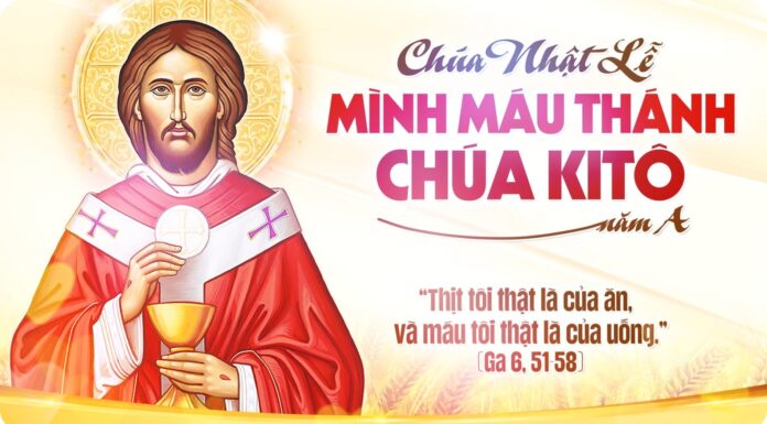 Lễ Mình và Máu Thánh Chúa Kitô, năm A: Các bài suy niệm & chú giải Lời Chúa