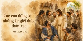 Chúa nhật XII thường niên, năm A: Các bài suy niệm & chú giải Lời Chúa