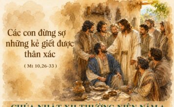 Chúa nhật XII thường niên, năm A: Các bài suy niệm & chú giải Lời Chúa
