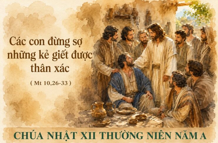 Chúa nhật XII thường niên, năm A: Các bài suy niệm & chú giải Lời Chúa