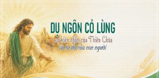 Chúa nhật XVI thường niên, năm A: Các bài suy niệm & chú giải Lời Chúa
