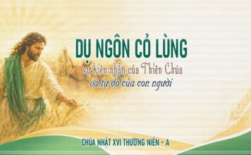 Chúa nhật XVI thường niên, năm A: Các bài suy niệm & chú giải Lời Chúa